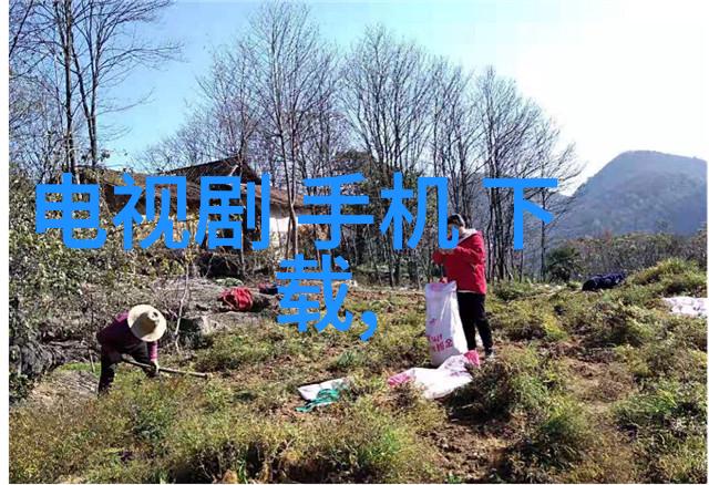 室内美化指南家居装修的智慧之路