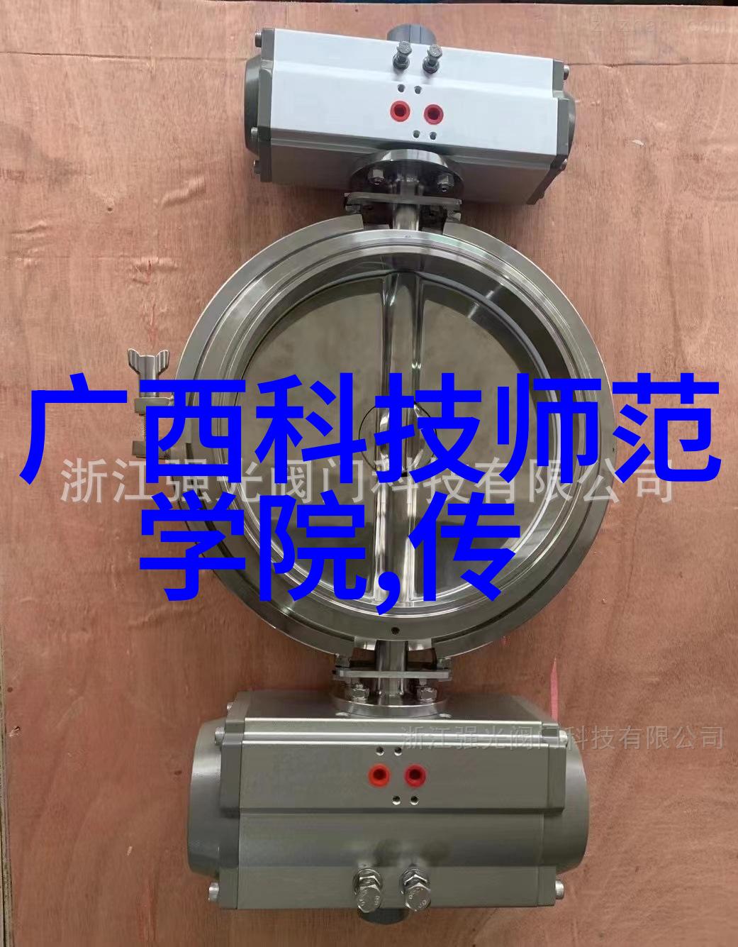 我把科技上交国家2020中国智能家居政策技术双轮加速发展的新篇章