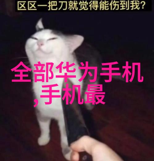 中央空调家用优缺点-舒适夏日中央空调家用系统的温暖秘密