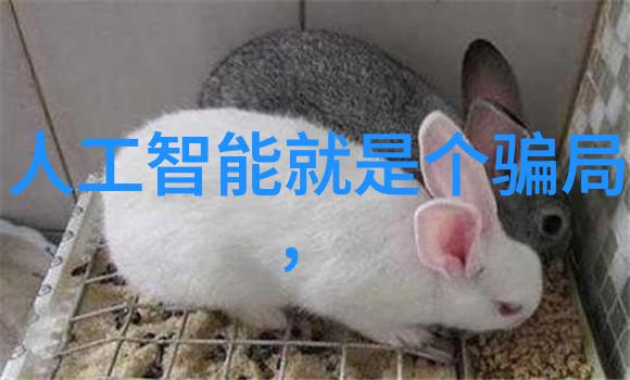 丝网波纹填料型号规格我来告诉你怎么选择合适的填料哦
