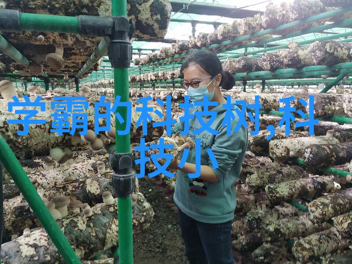 保洁-家政保洁打造温馨舒适的居住环境