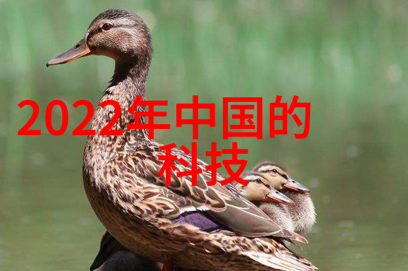 我是谁的水净化器我的生活纯净水之旅一台神奇设备的故事