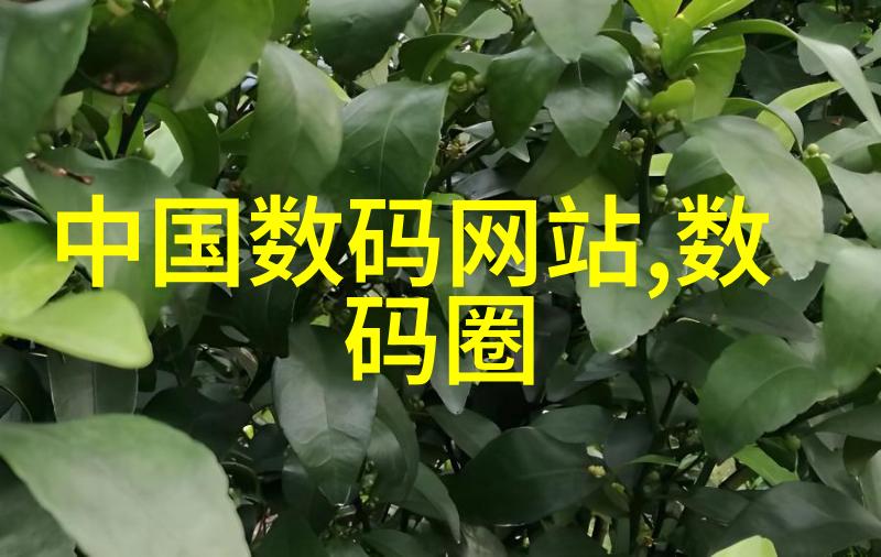 超级吸附力揭秘高效吸附剂的工作原理与应用