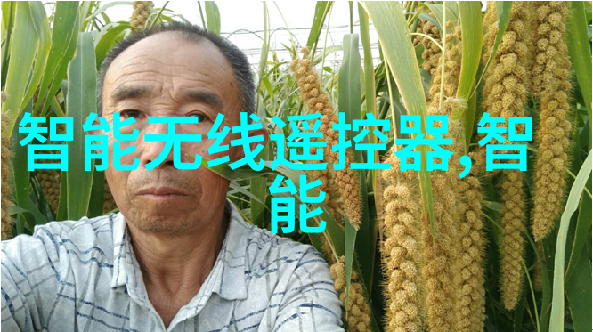 玉薄团-寻觅传统玉薄团的文化与烹饪艺术