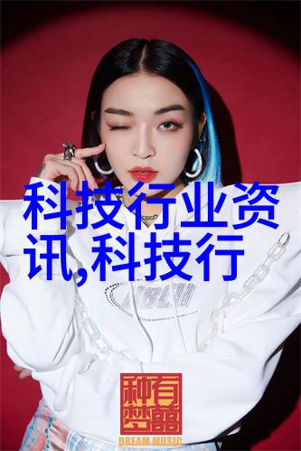 个人信用报告系统机遇与挑战的探究