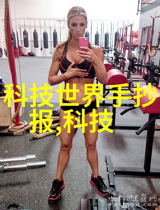 消毒圣经操作指南与保养秘诀