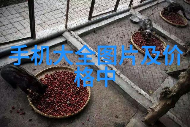 全自动披皮装备在航空航天领域的地位与未来展望