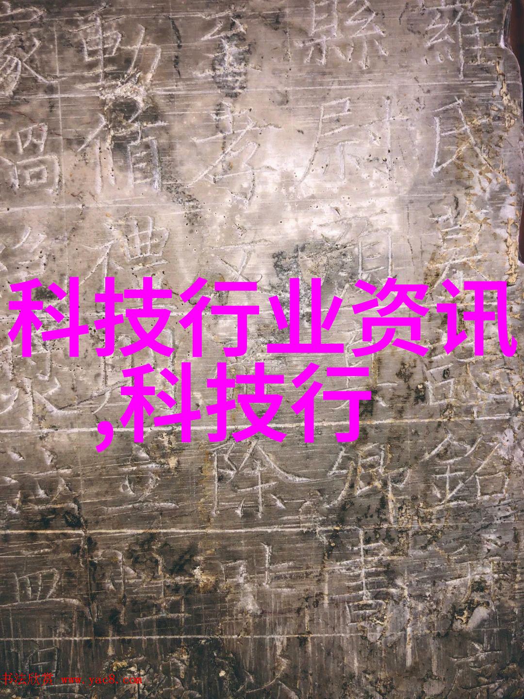 不锈钢陶瓷填料-高性能耐腐蚀的无机填充材料