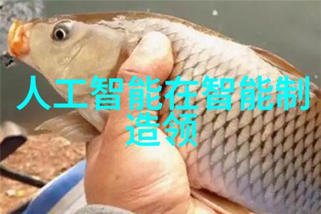 不锈钢波纹填料供应解决方案