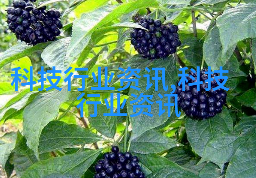 欧式复古感