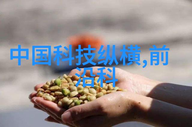 一生一世的追寻