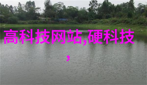 主卧室装修效果图我家新翻新的主卧室超级美