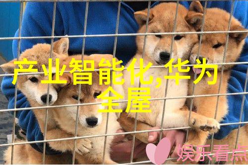 猫头鹰的回忆一场意外的时光旅行