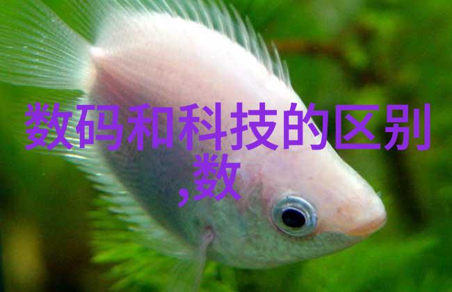 果树栽培技术从种植到收获的全过程