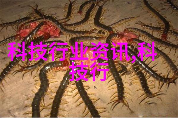 干燥的艺术连续式设备的奇迹之旅