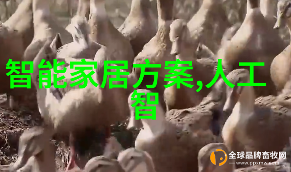 维修纯净水设备-清洁再生如何高效维护你的净水器系统