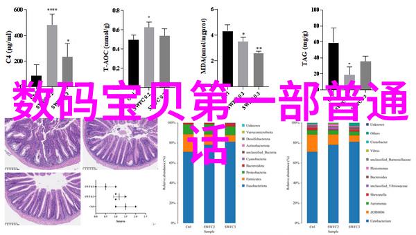 煤泥干燥设备炭黑之旅的终端