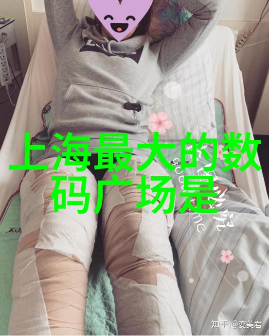 三瓣六瓣填料安装规范与应用探究