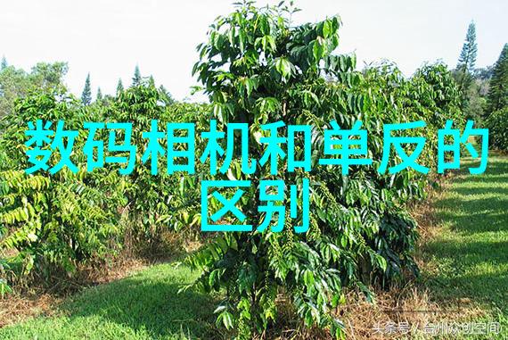 生产企业应对策略面对市场波动如何调整生产成本以适应日常变化的305廢鋼價格