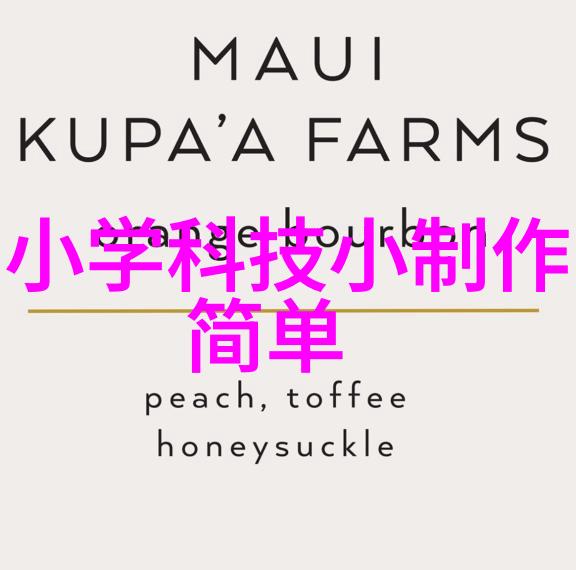 化工产品概述 主要的化工产品塑料肥料染料与涂层剂的生产与应用