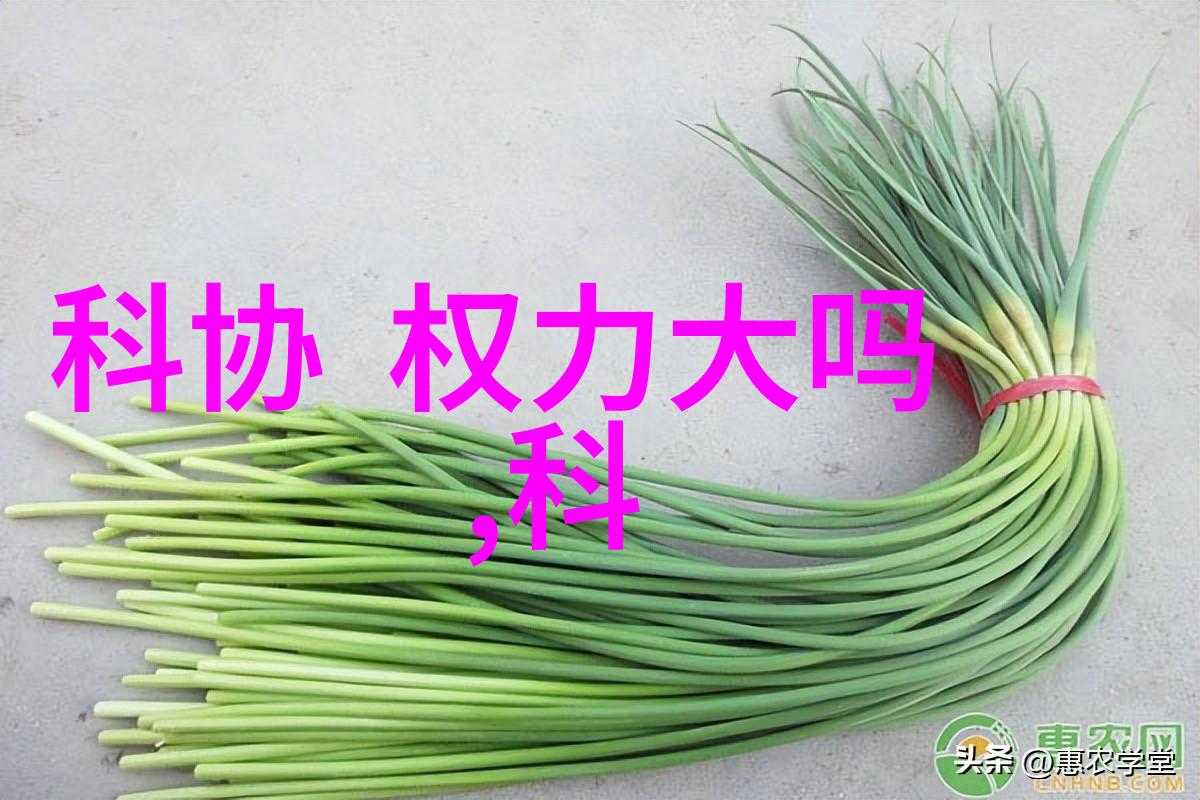 连续式干燥设备高效稳定技术的旗舰