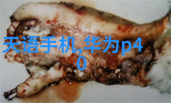 卫生间设计新潮流10平米空间的装修灵感大汇集