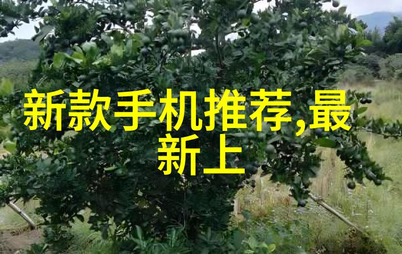 汽车配件信息车载电子设备轮胎选择内饰保养