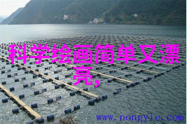 跨行业共享医疗食品等领域对健康标准对应的特殊需求和解决方案谈话录