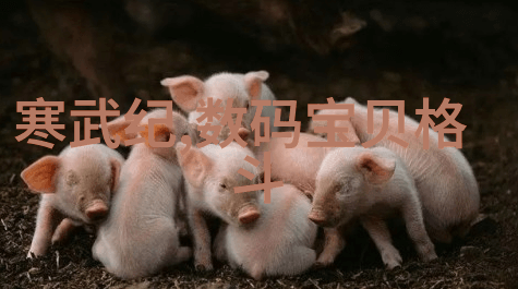 云南财经大学官网入口-云南财经大门户网站简介与导航指引