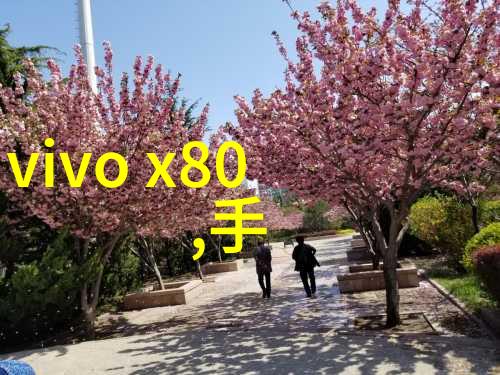 在新开的世界里你会是第一位踏上征途的人吗