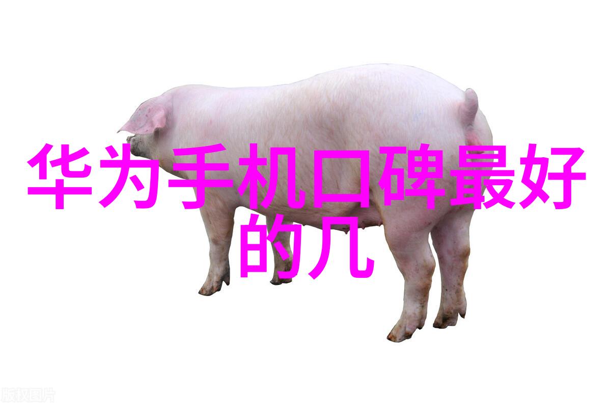 废弃工厂狗狗轮着上视频-荒废工厂中的忠诚守望者一条狗的日夜轮班