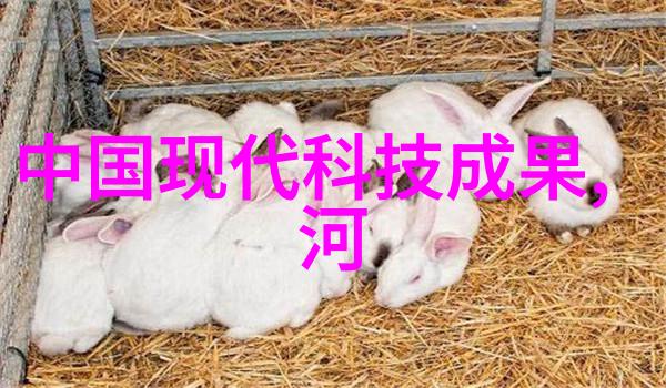 医疗高压灭菌设备厂我司的灭菌大师确保每一台设备都能让你安心使用