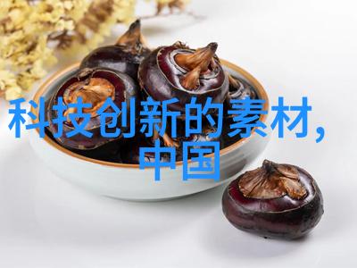 夜间煮饭不再烦恼高压灭菌锅解锁时间管理秘诀