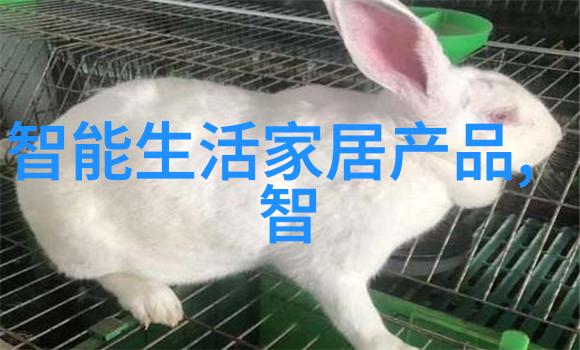 等你爸爸走了再继续亲情与成长的无声对话