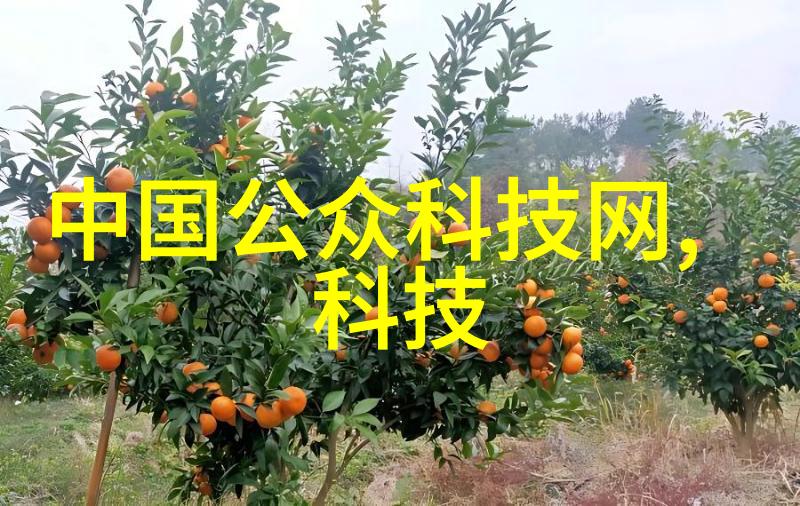 6米架子管多少钱一根问我我告诉你