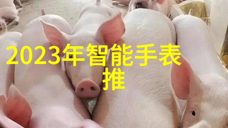 大客厅布局设计中功能区划分有哪些常见方法