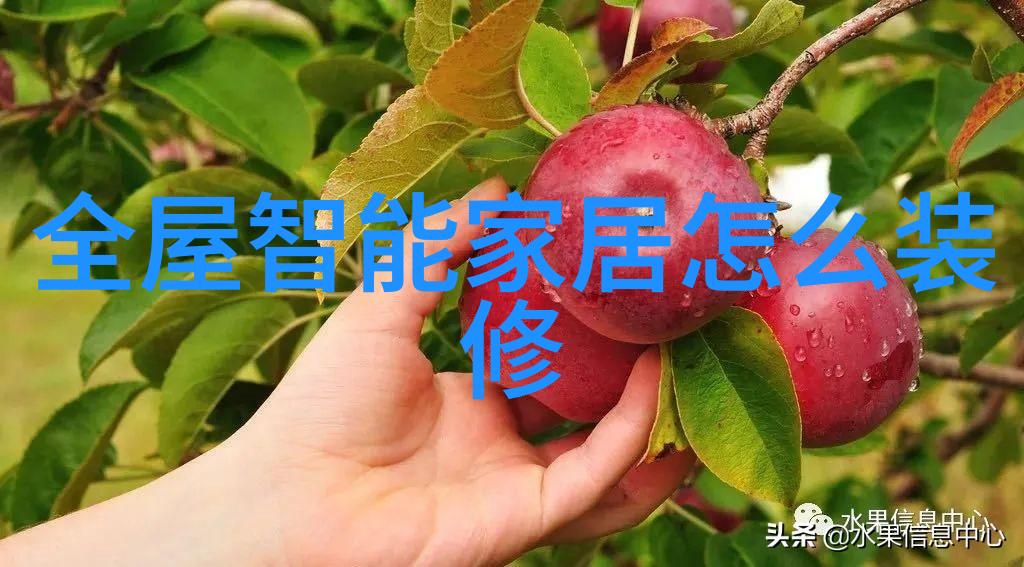 蒸汽发生器家居生活的好帮手
