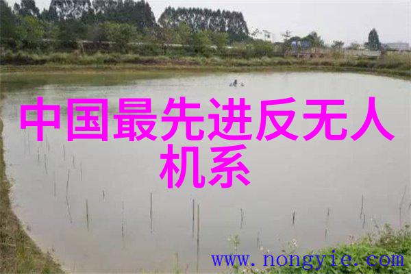 装饰角落的完美配件精彩图片展览