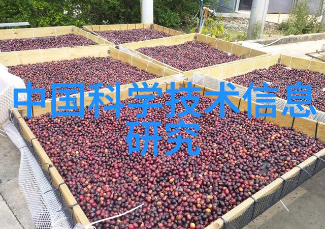 南宁职业技术学院培育未来技能者促进经济发展的火炬