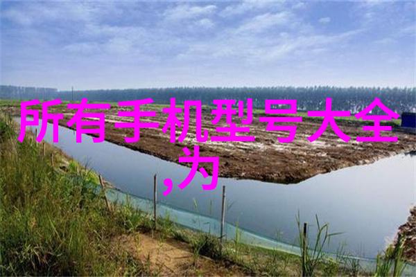 二手高温灭菌设备医疗器械再利用解决方案