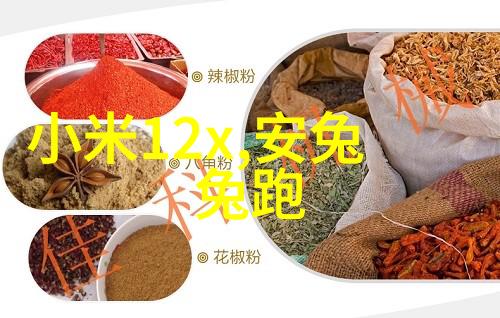 室内装修风格探秘从简约到奢华的设计艺术之旅