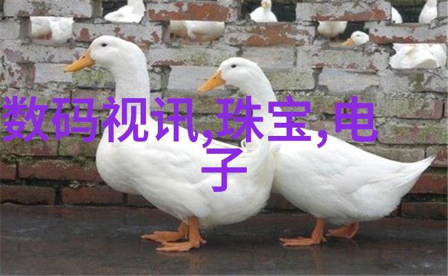 风花雪月txt-绘卷里的梦追逐青春的风花雪月