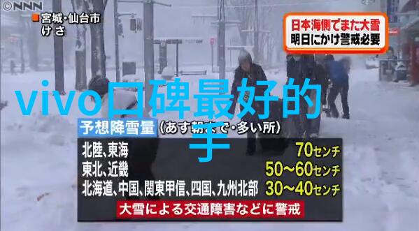 精准分选机型号解析提升物料分类效率的关键技术