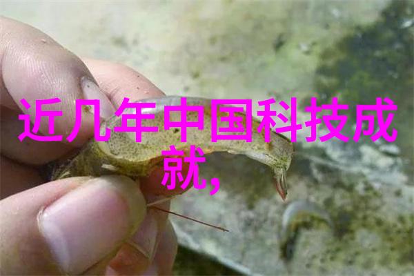 日式整体卫生间装修案例分析与学习