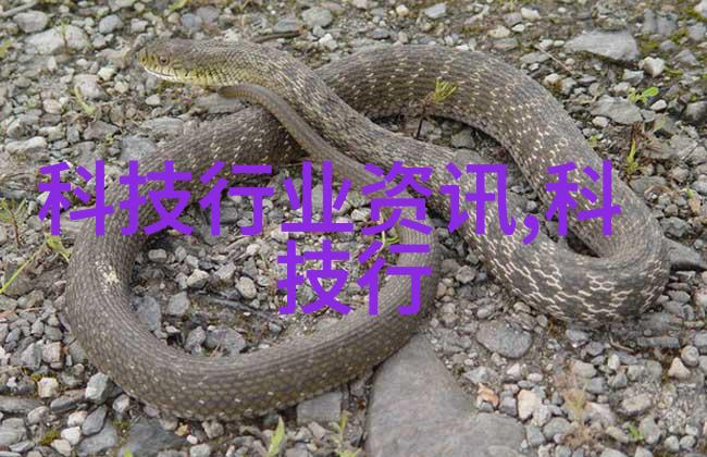 化工反应釜车间银装素裹的危机之源