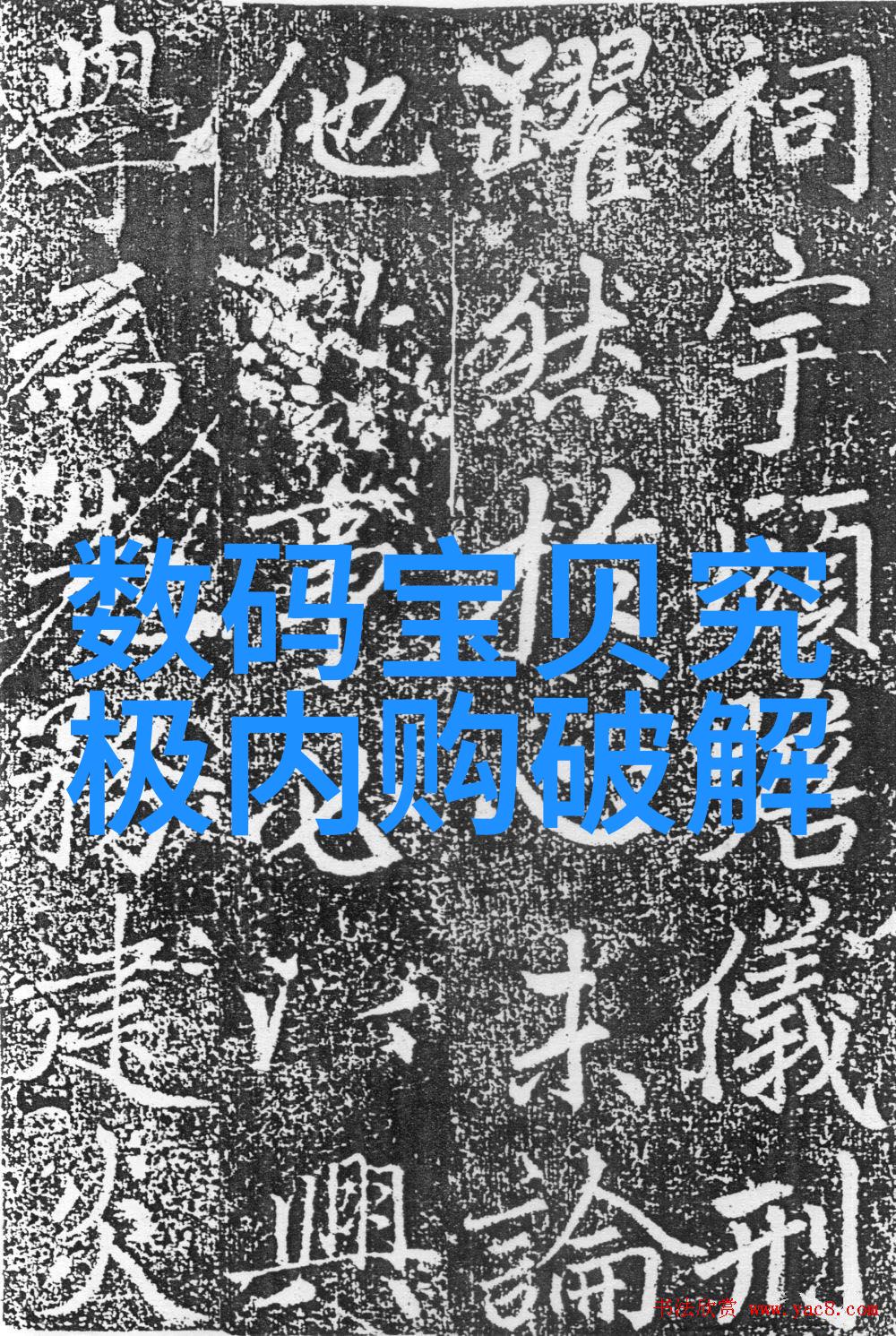 黑色宝石的奥秘炼化梦想的旅程