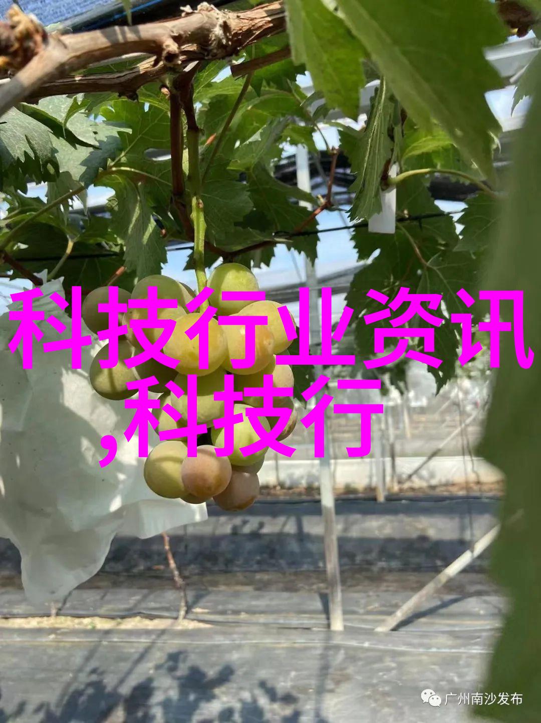 揭秘汽车配件世界隐藏的神器与未解之谜