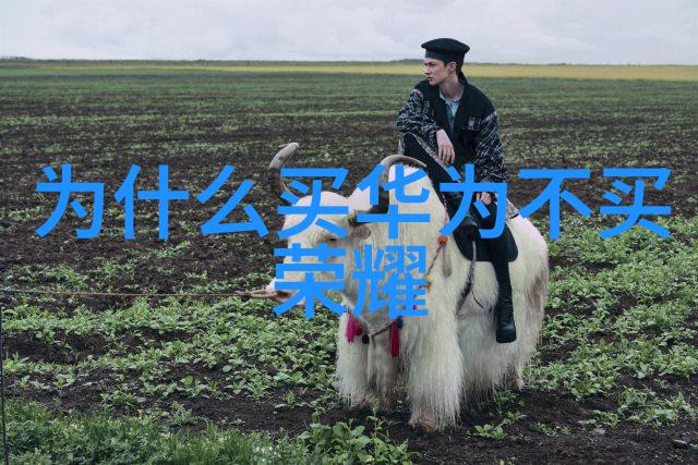 不锈钢制造精髓探索主要材料与技术