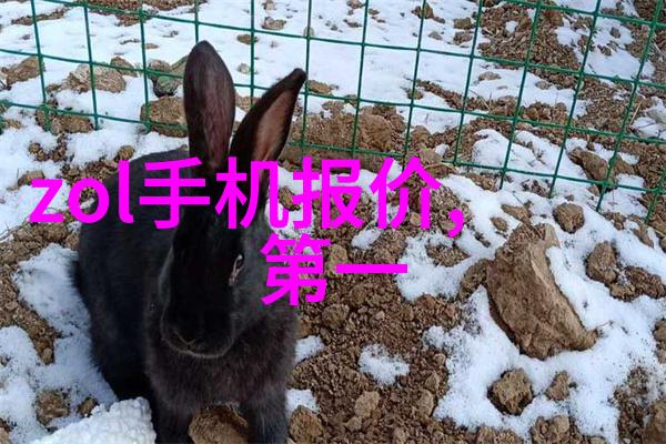 华硕最新旗舰手机Zenfone系列的技术革新与设计创新