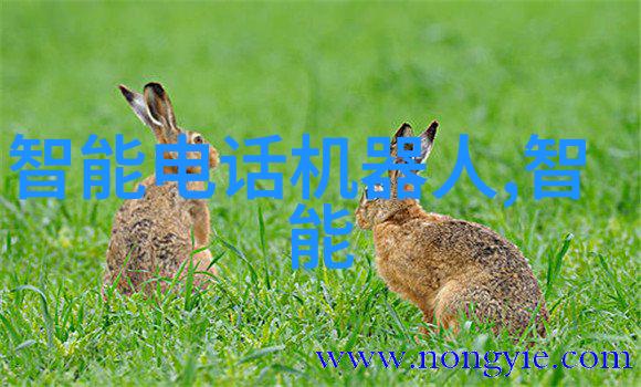 超净水之源半导体超纯水设备的关键技术与应用